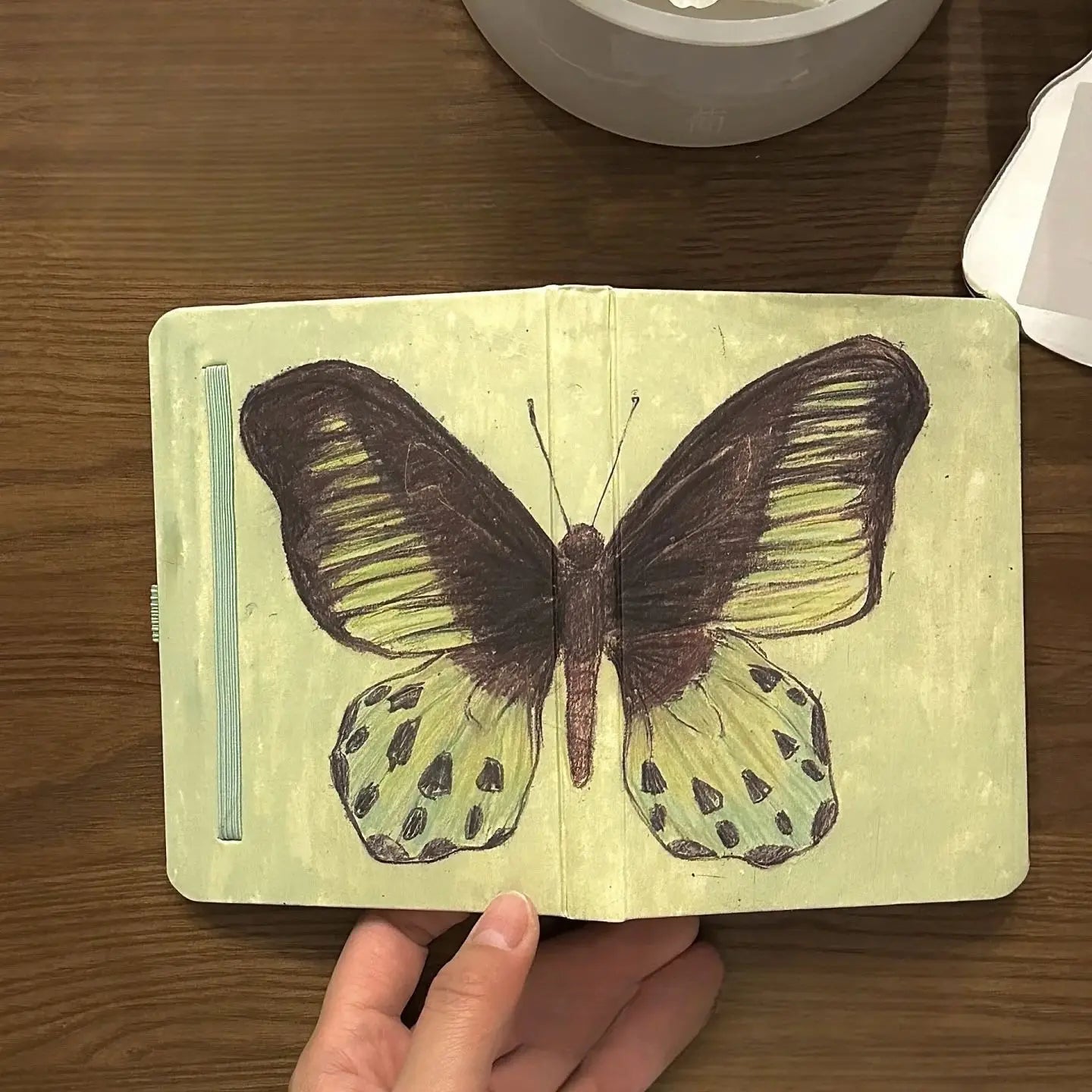 Mint Green Butterfly 80Sheets Blank Inner Page School Specific Notebook Student Memoirs Excerpt Diary School Specific Notebook