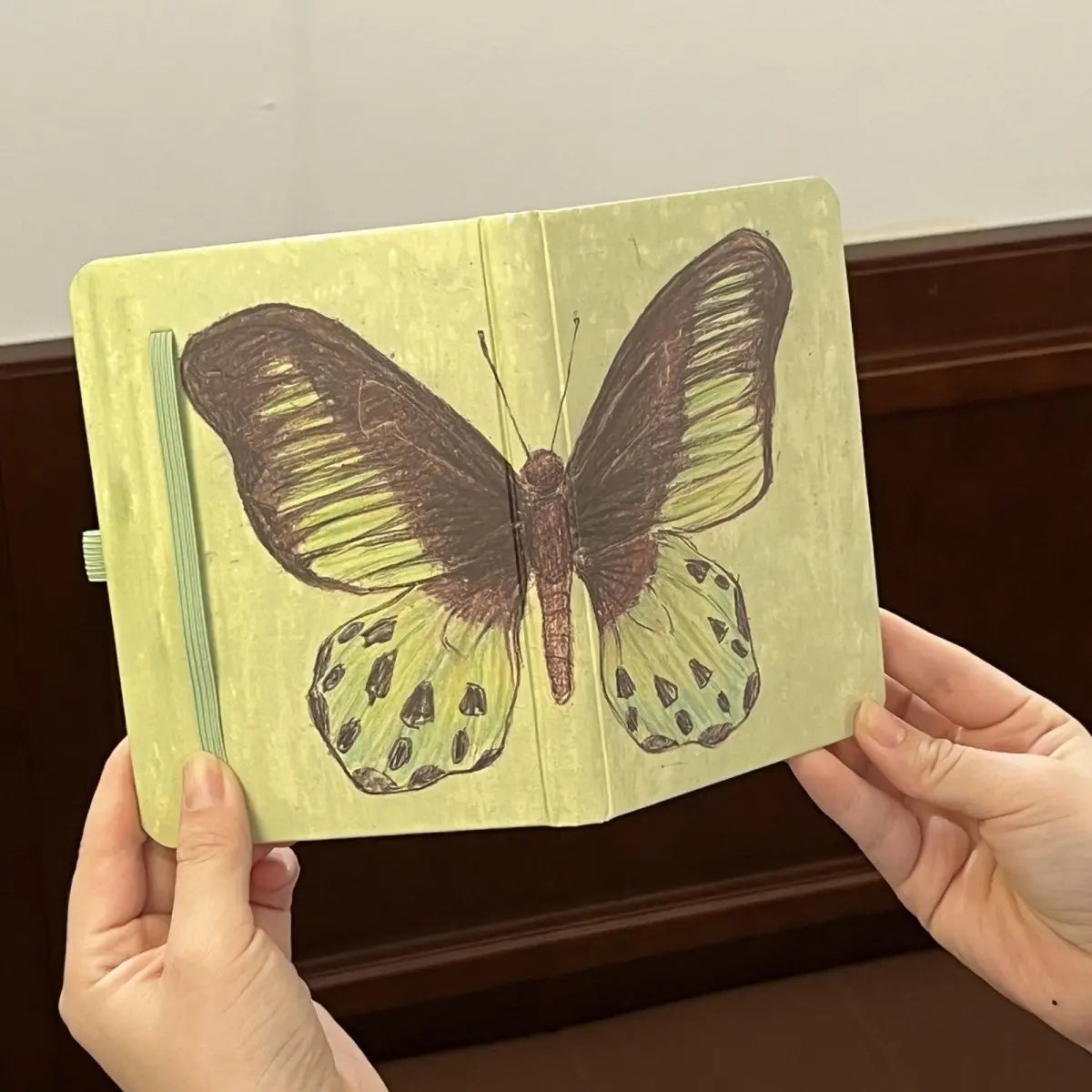 Mint Green Butterfly 80Sheets Blank Inner Page School Specific Notebook Student Memoirs Excerpt Diary School Specific Notebook