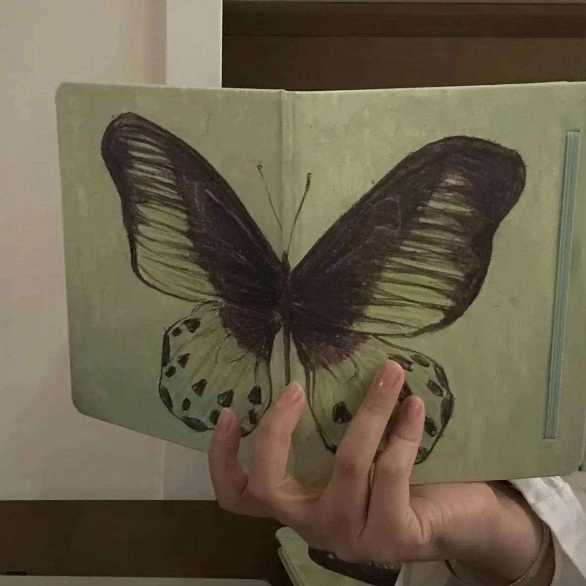 Mint Green Butterfly 80Sheets Blank Inner Page School Specific Notebook Student Memoirs Excerpt Diary School Specific Notebook